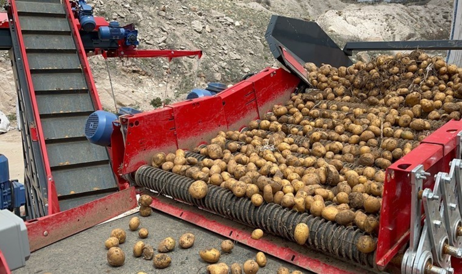 hepsi-geri-gonderildi-2-bin-tondan-fazla-patates-viruslu-cikti-5wONqvCQ.jpg