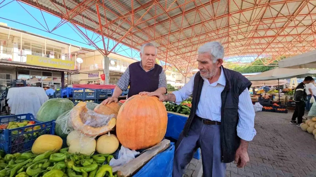 darende bal kabagina yogun ilgi pNEhOLxq