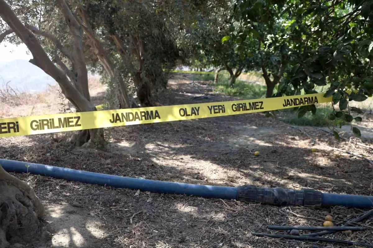 hatayda katil pamuk ile yakalandi J3eiOrbQ