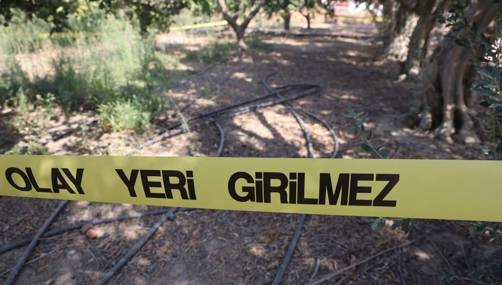 narenciye bahcesinde satirli dehset kdJITg6A