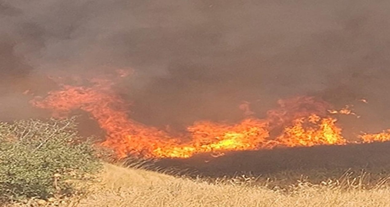 izmirde anizda cikip agaclik alana sicrayan yangin sonduruldu ihaDi3xw