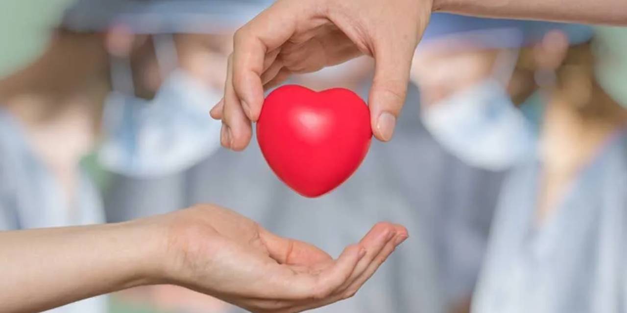 organ bagisi vasiyeti artik e nabiz ve e devlet uzerinden yapilabiliyor EW2lWdm9.jpg